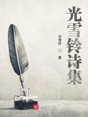 关于雪的诗集封面