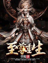 至尊重生的境界等级