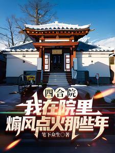 四合院我在院里煽风点火那些年顶点