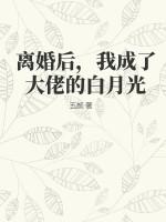 离婚后我成了大佬黑月光txt