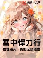 雪中悍刀行武学体系