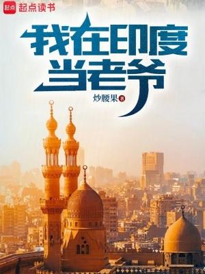 我在印度的701天电子书