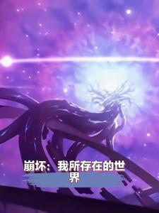崩坏世界之我