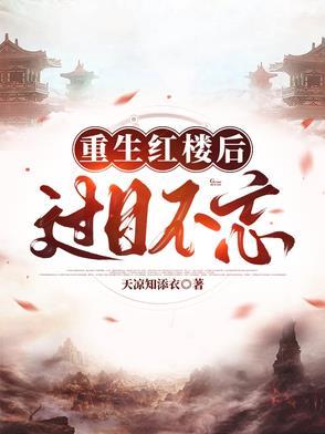 穿越红楼之我是