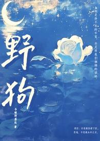 野狗(姐弟骨科H)作者冬晴野荔枝著