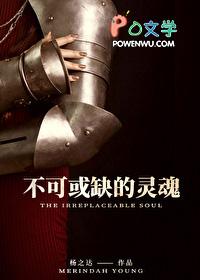 不可或缺的灵魂西幻
