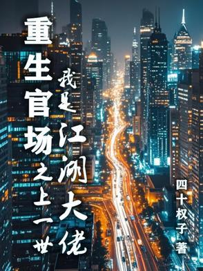 重生之 官场