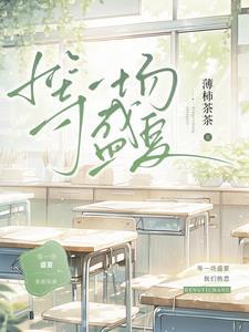 等一场盛夏笔趣阁在线阅读