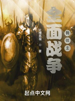 我想看全面战争怎么写