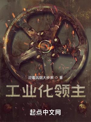 工业化之路