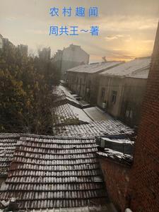 农村的趣事