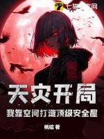 天灾种田空间