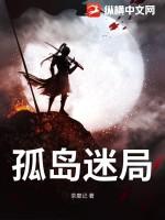 孤岛谜情