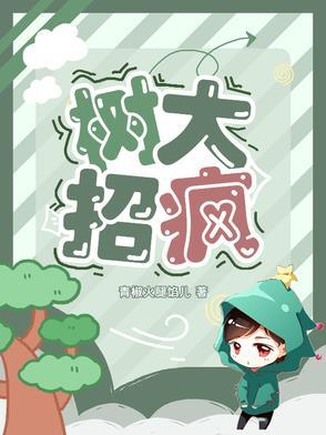树大招风为什么下架