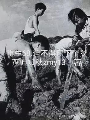 重生60迫不得已下个乡