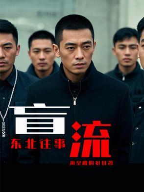 东北往事盲流演员表