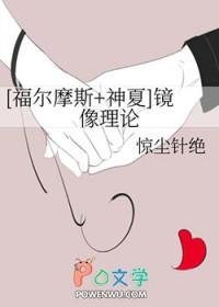镜像理论 作品分析