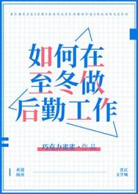 原神至冬国介绍