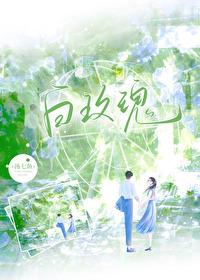 白玫瑰不懂山茶花是什么歌