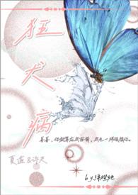 爱丽丝床