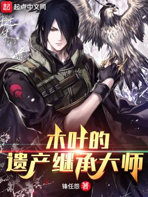 木叶的遗产继承大师完结作者锋任怨