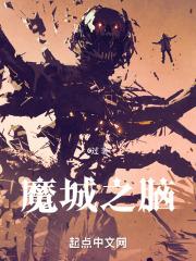 魔城之脑无防盗牌