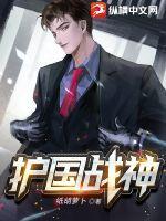 护国战神TXT全文