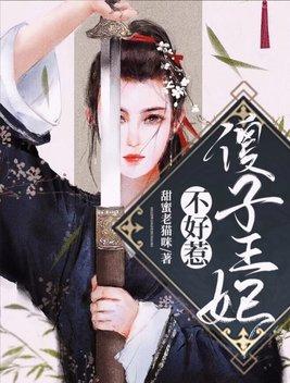 傻子王妃不好惹1203集