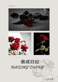 养成日记手游