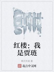 红楼我是贾琏TXT百度