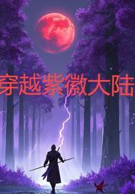 穿越紫薇星君
