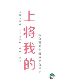 我的上将军老婆