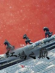 红墙之战猜一电影