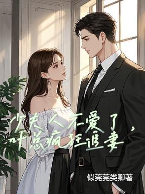 少夫人她又a又飒叶宁