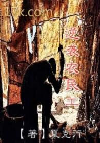 农民工的惊天逆袭全集