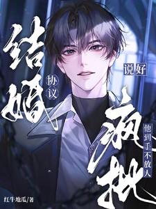 说好的协议结婚竟然txt