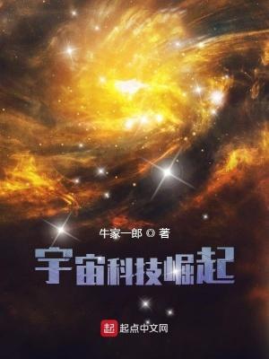 宇宙科技崛起TXT电子书
