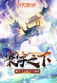 寰天之下