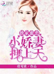 独家蜜婚免费全文阅读