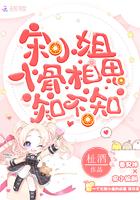 宋小姐