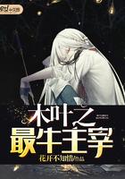木叶之最强官二代