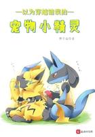 穿越错误的宠物小精灵