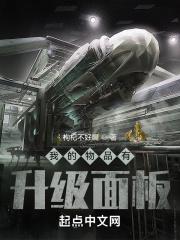 我的物品有升级面板biquge