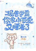 你家小可爱又爬墙了txt