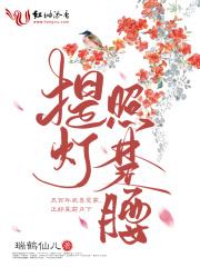提灯照河山楚慈章节