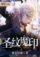 圣魔印删不掉