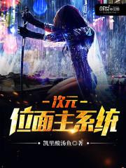 次元位面主系统评价