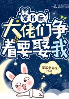 穿书后大佬们纷纷倒戈了