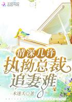 情深不悔总裁的漫漫追妻路