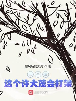 四合院这个许大茂会打架校对版
